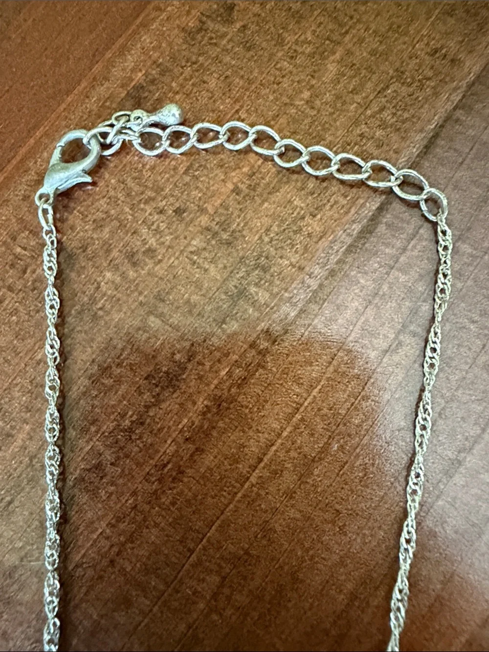 Michigan State University Necklace and Earrings